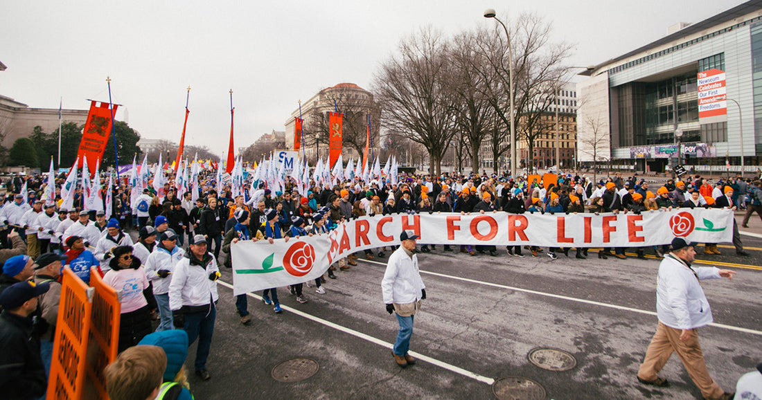 March for Life 2019