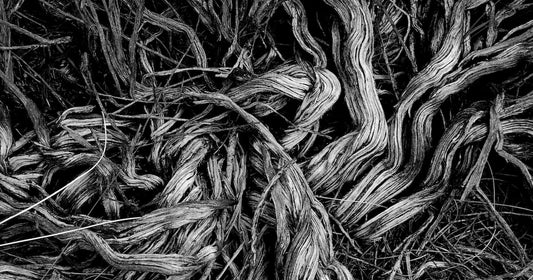 Uprooting Deadly Sin
