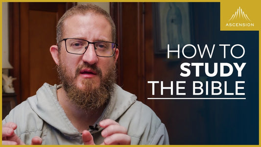 How to Get More Out of the Bible