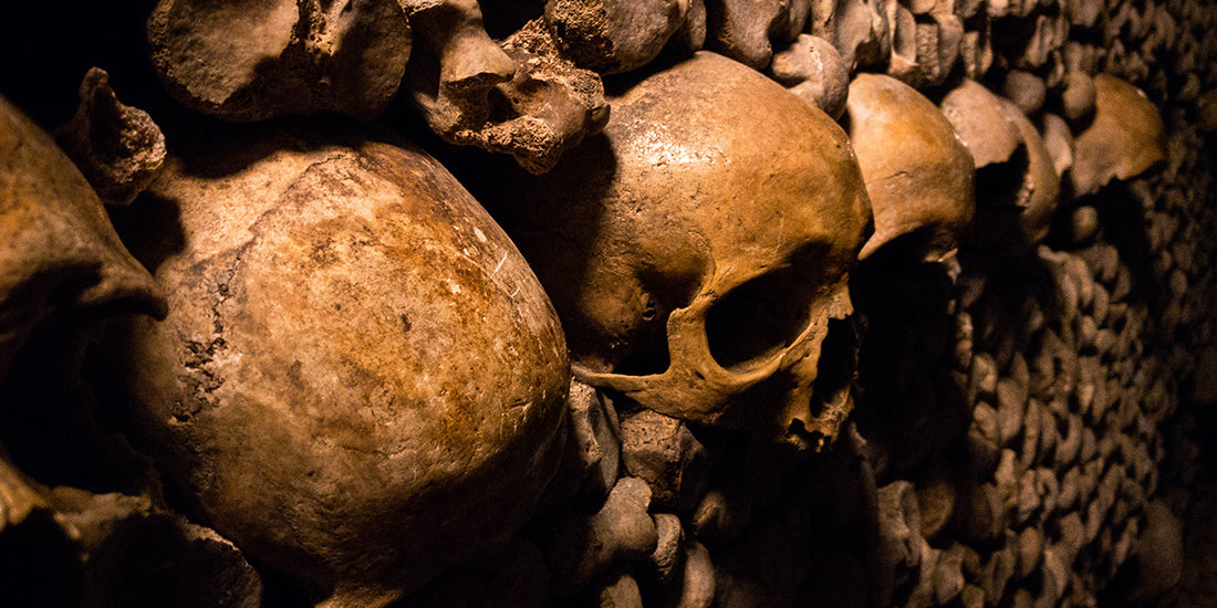 skulls in the catacombs