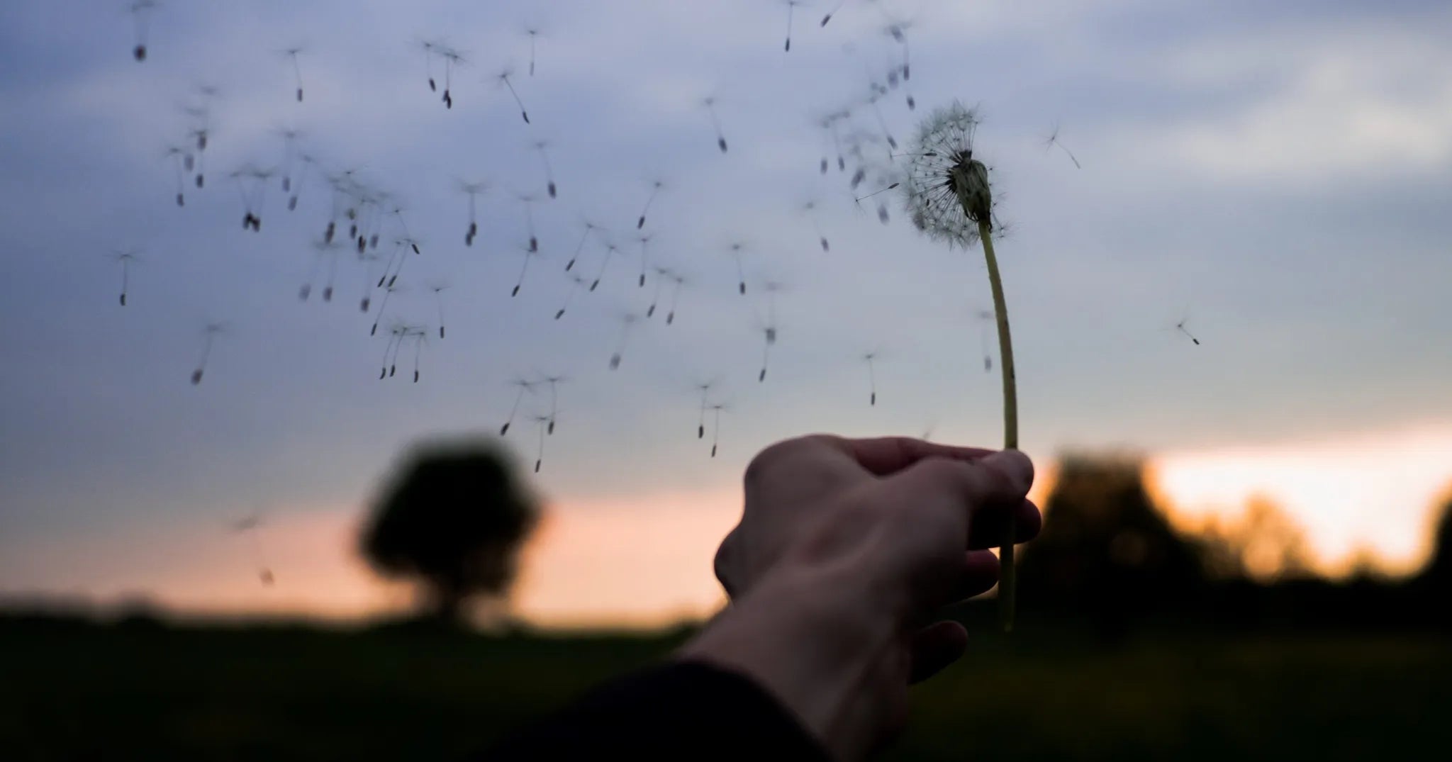 How to Be a Countercultural, Courageous, Contagious Catholic