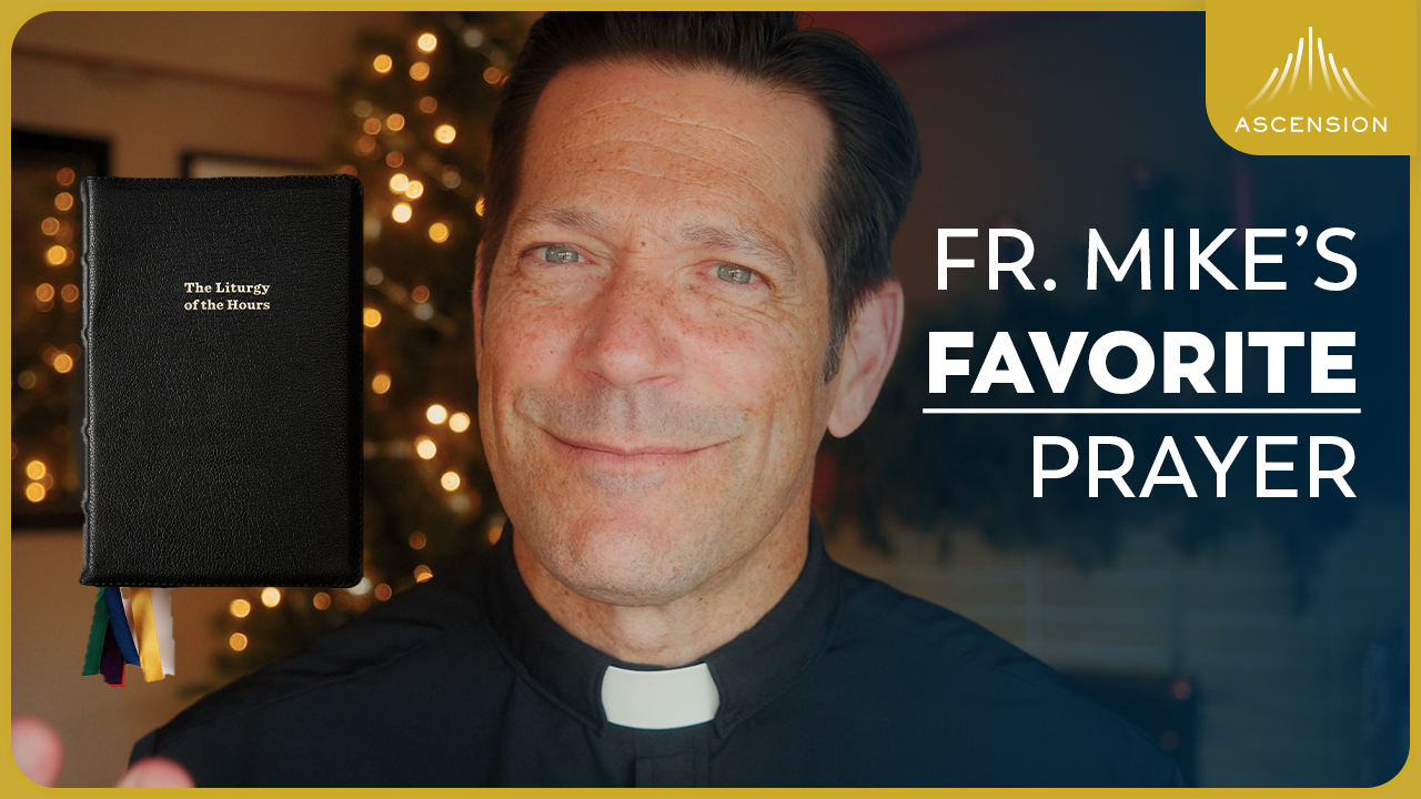 The Liturgy of the Hours Explained (w/ Fr. Mike Schmitz)