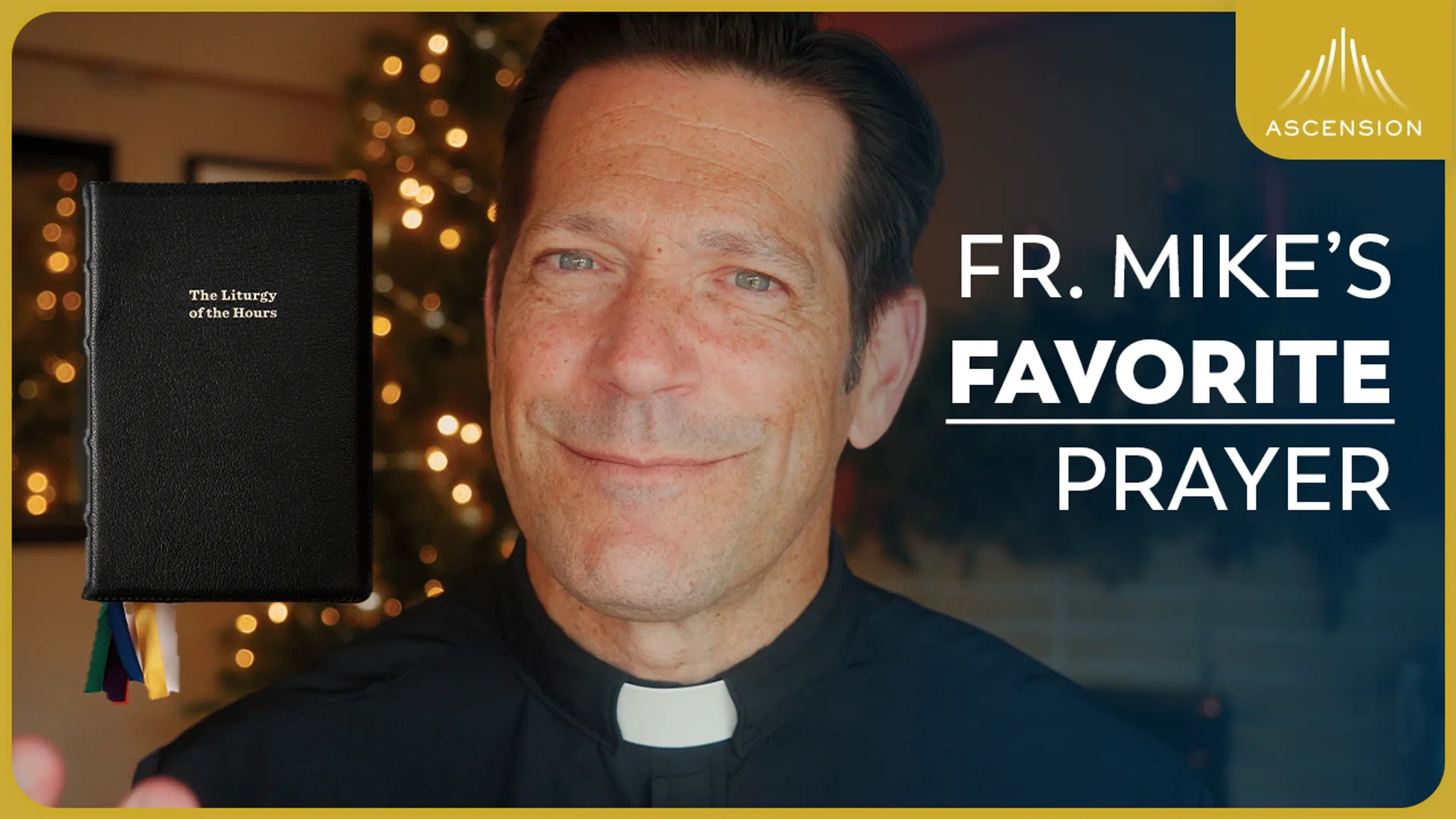 The Liturgy of the Hours Explained (w/ Fr. Mike Schmitz)