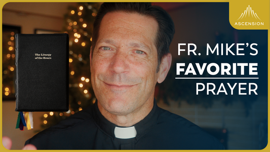 The Liturgy of the Hours Explained (w/ Fr. Mike Schmitz)
