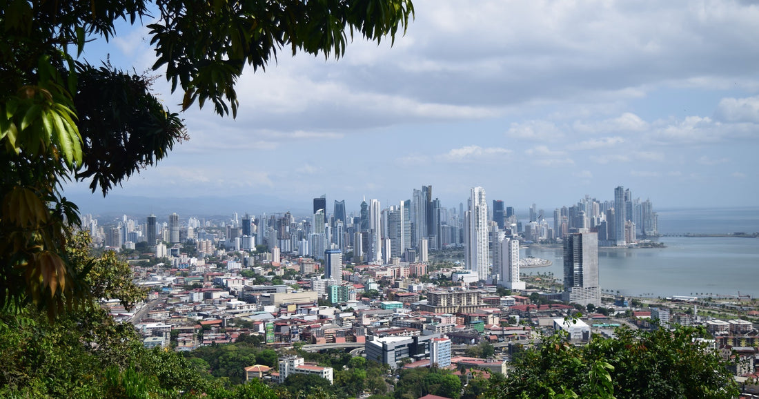 High, Low, and God Moments from World Youth Day Panama