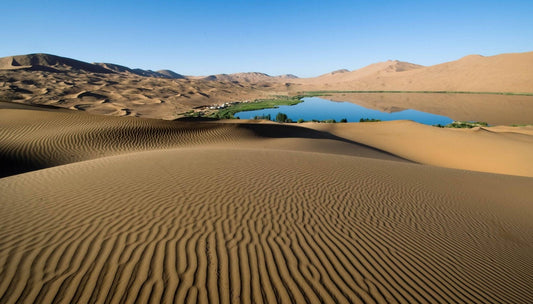 Living Water in the Lenten Desert