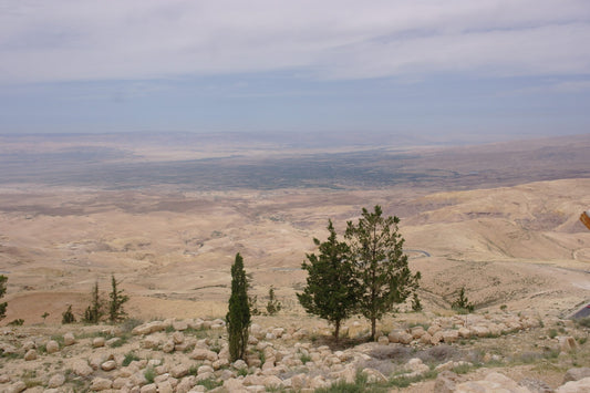 From the Holy Land: The Baptism of Christ