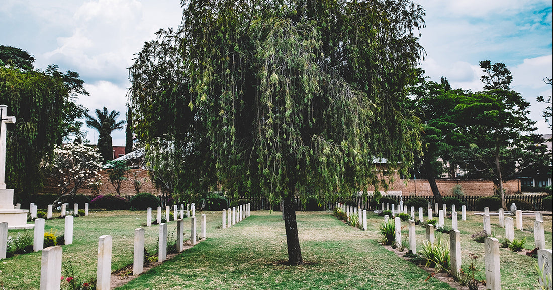 A Burning Question: What Does the Church Teach on Cremation?