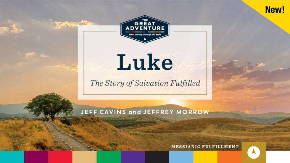 Luke: The Story of Salvation Fulfilled