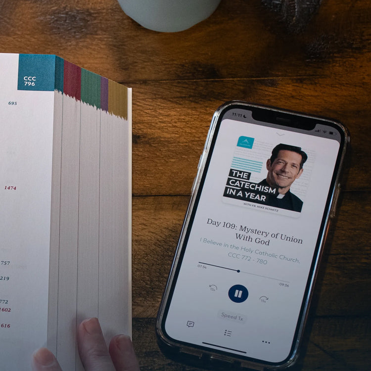 The Catechism in a Year