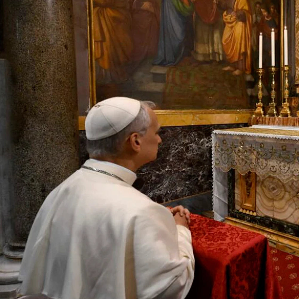 Pope Leo's 1st year: 12 Unique Facts, Firsts & Favorite Things