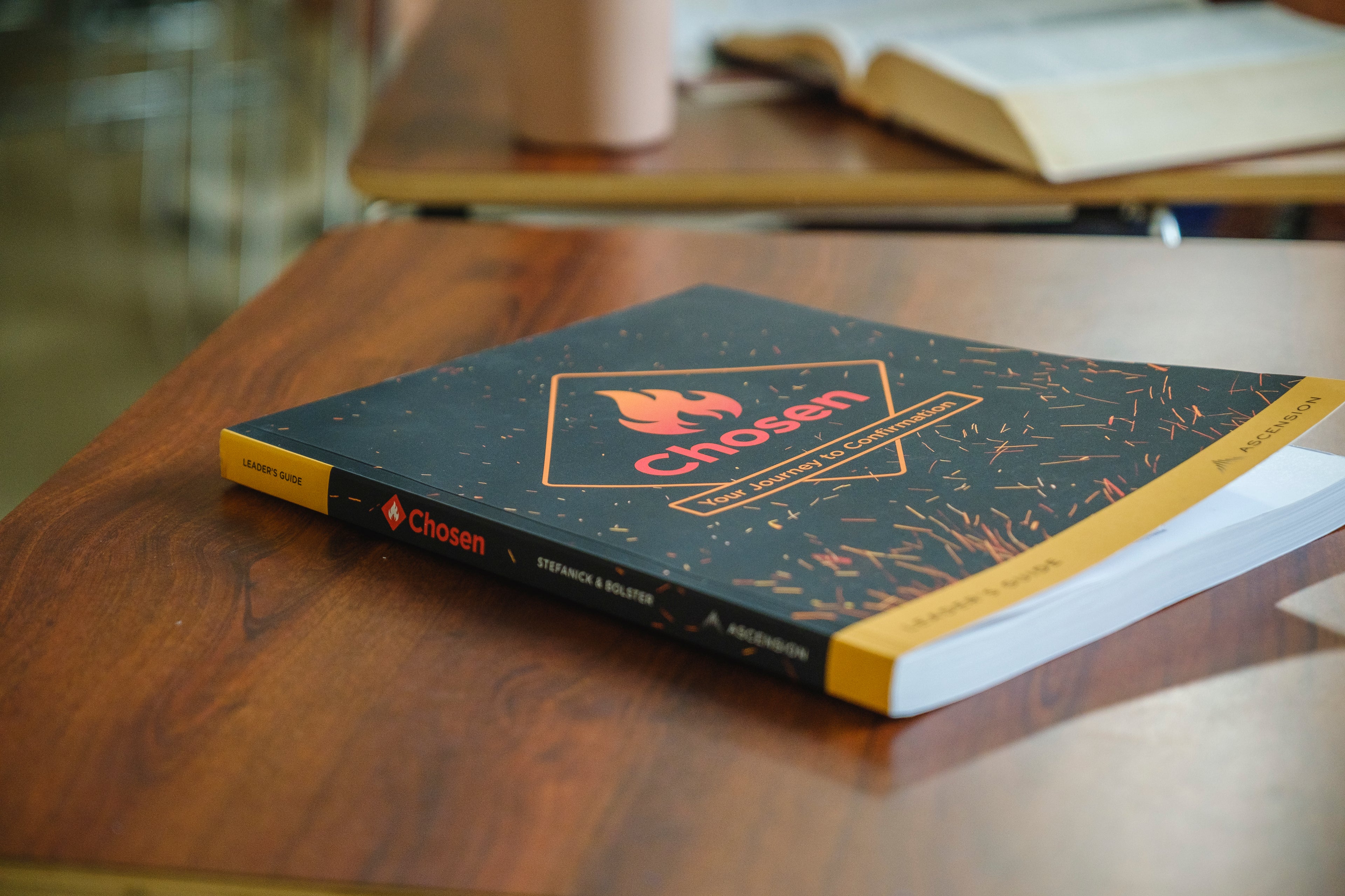 Chosen: Your Journey to Confirmation, Leader's Guide (English)