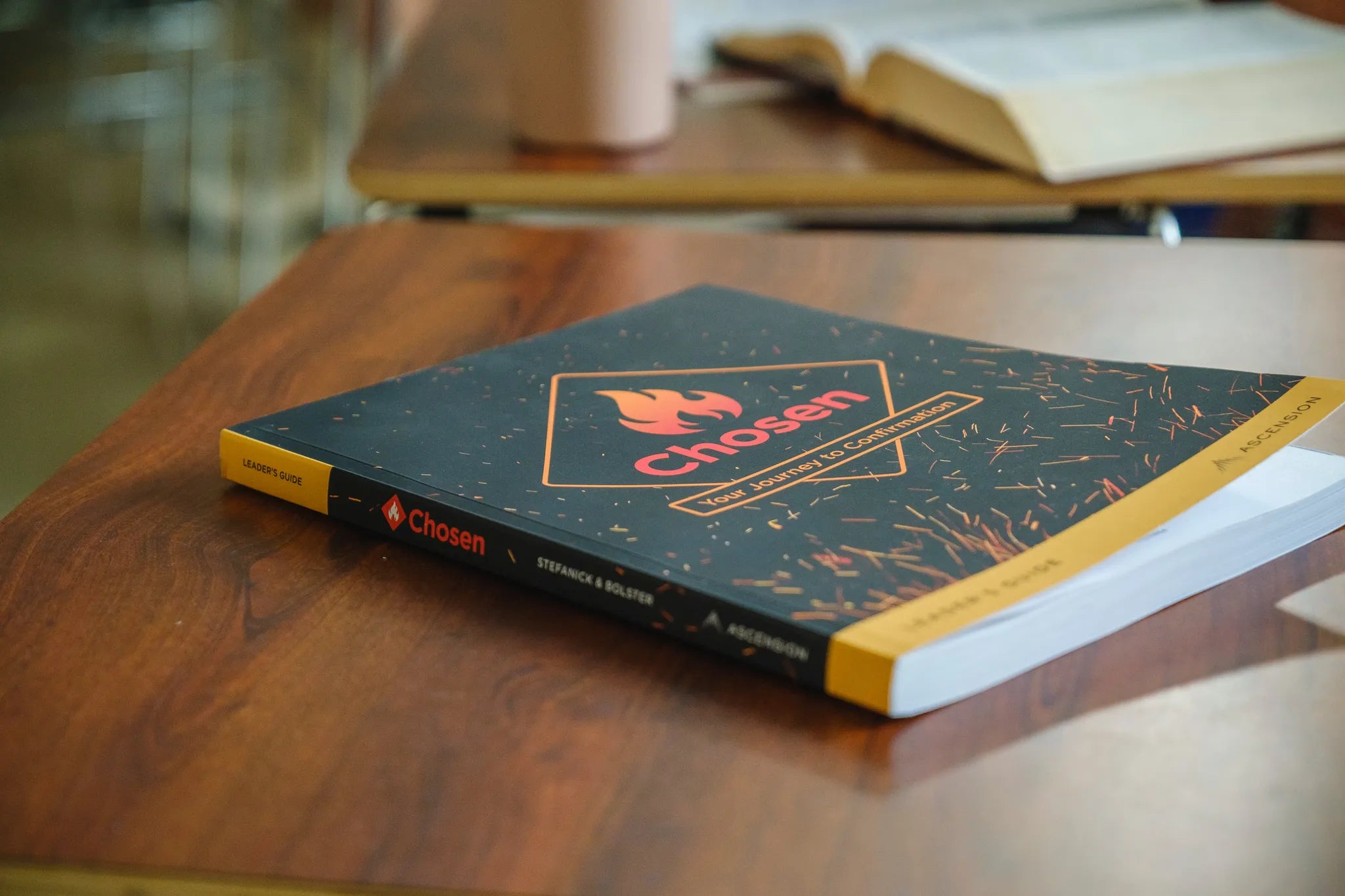 Chosen: Your Journey to Confirmation, Leader's Guide