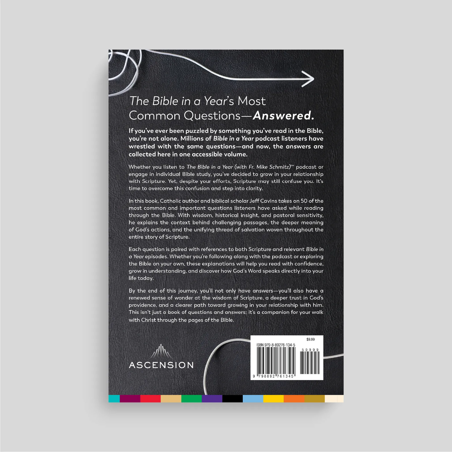 Back cover of a book with the text 'The Bible in a Year's Most Common Questions Answered' on a gray background.