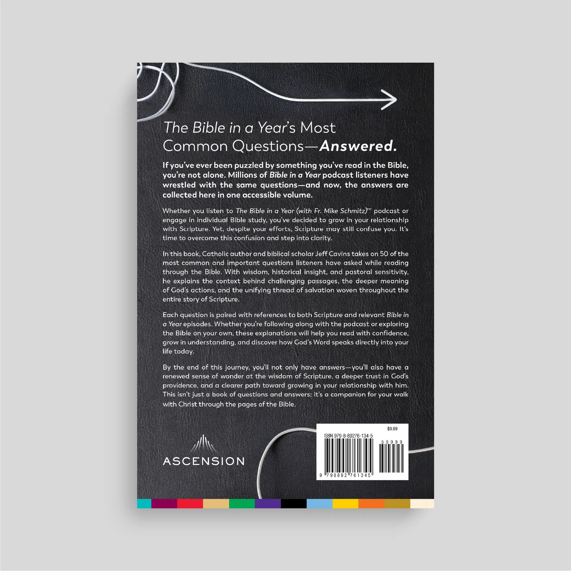 Back cover of a book with the text 'The Bible in a Year's Most Common Questions Answered' on a gray background.