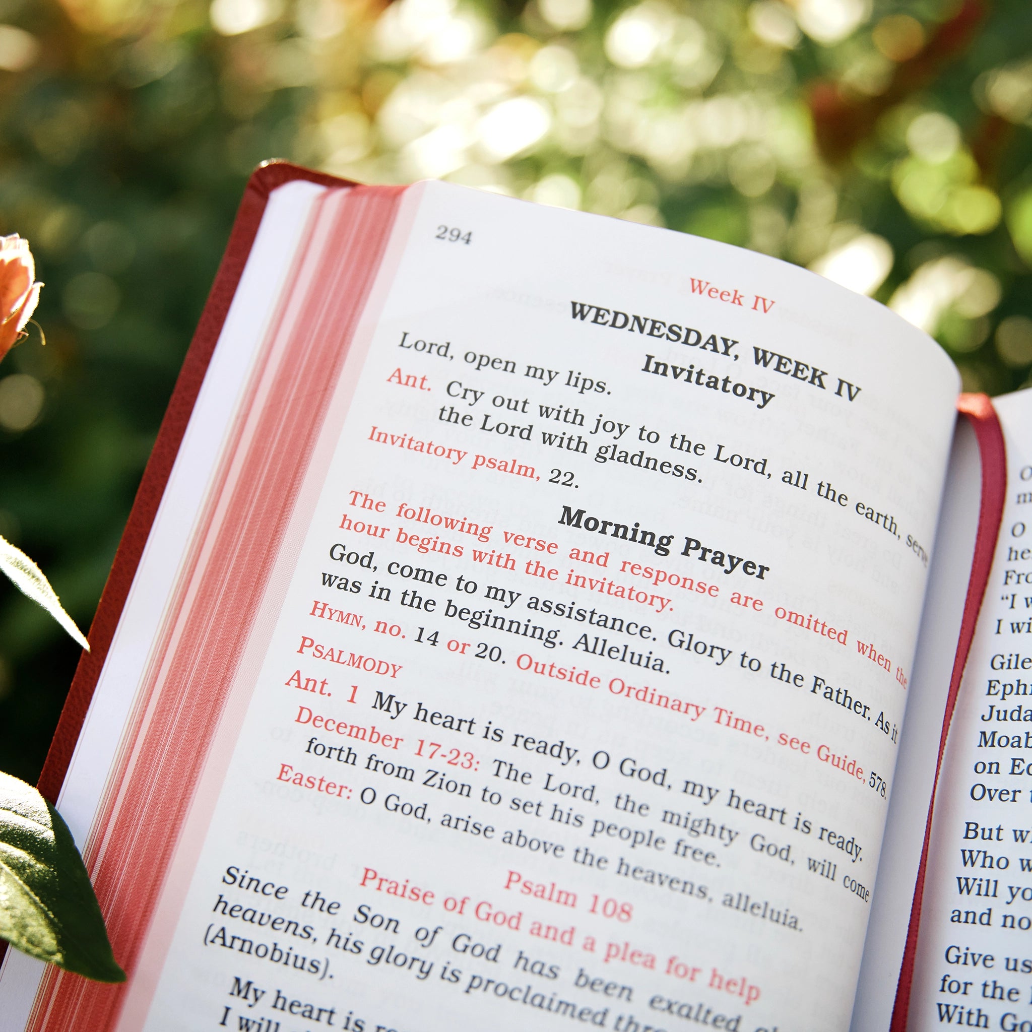 Shorter Christian Prayer: From the Liturgy of the Hours