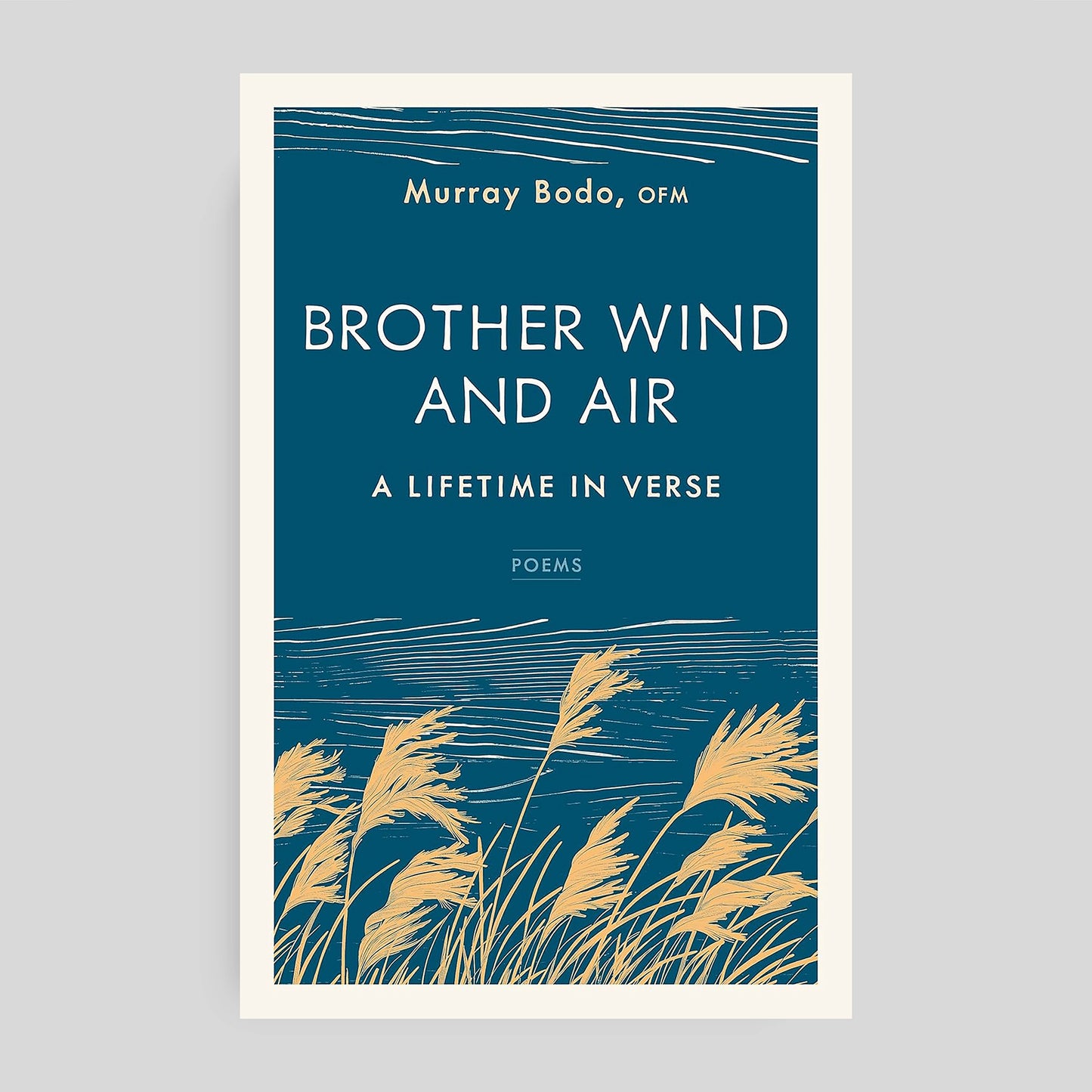 Book cover of "Brother Wind and Air: A Lifetime in Verse" with grains of wheat on a blue background
