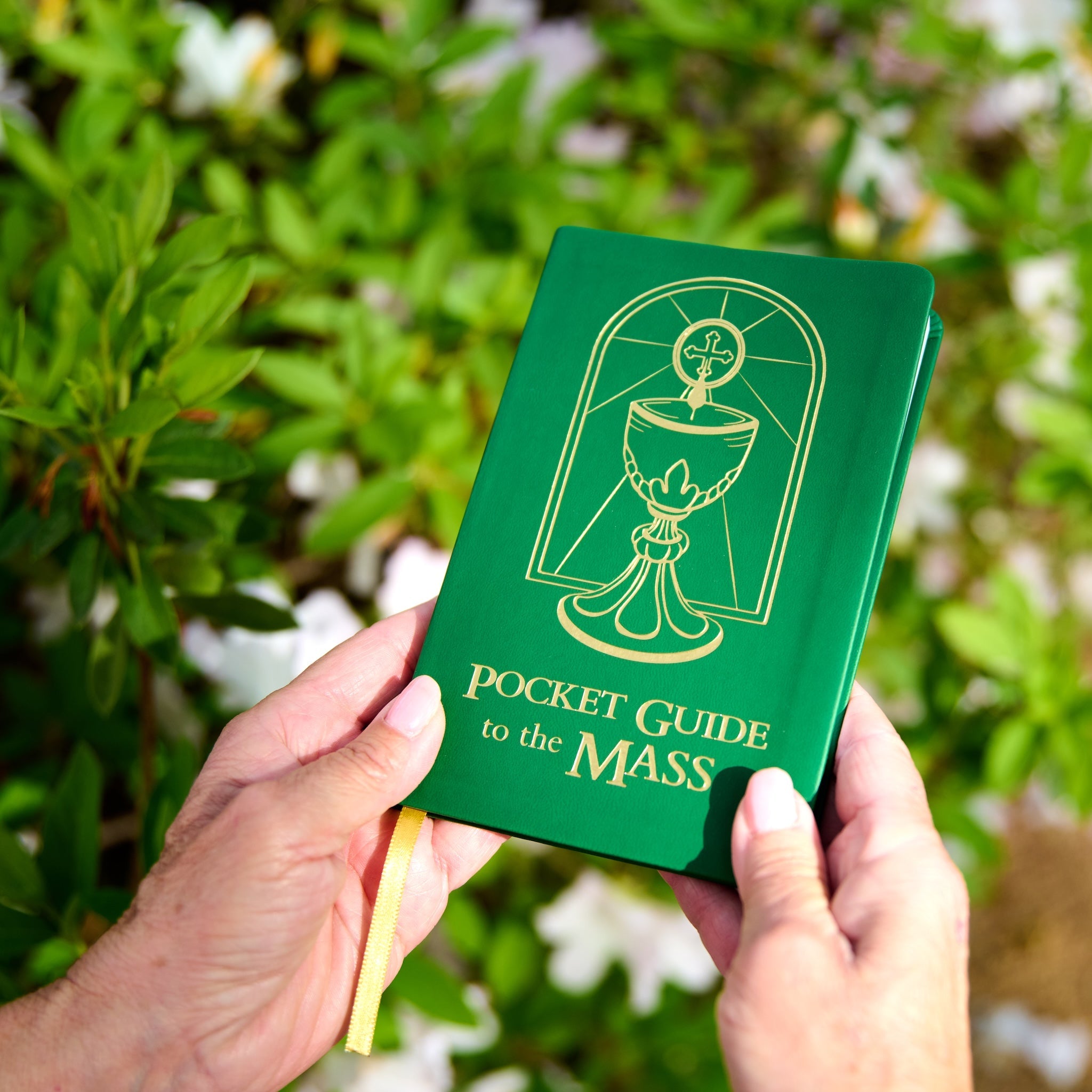 Pocket Guide to the Mass (Print)