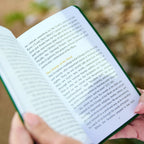 Pocket Guide to the Mass (Print)