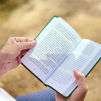 Pocket Guide to the Mass (Print)