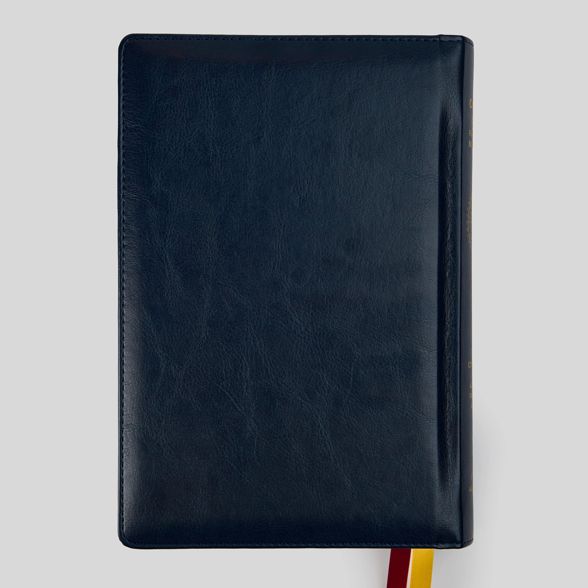 The Great Adventure Catholic Bible for Young Beginners