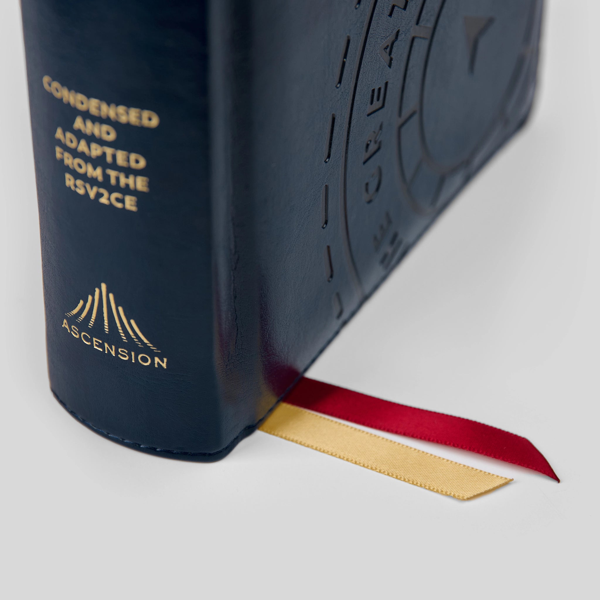 The Great Adventure Catholic Bible for Young Beginners