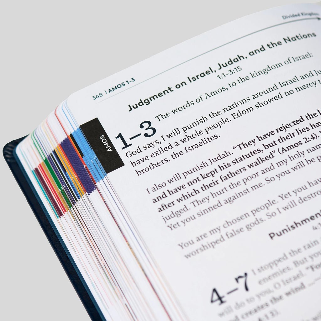 The Great Adventure Catholic Bible for Young Beginners