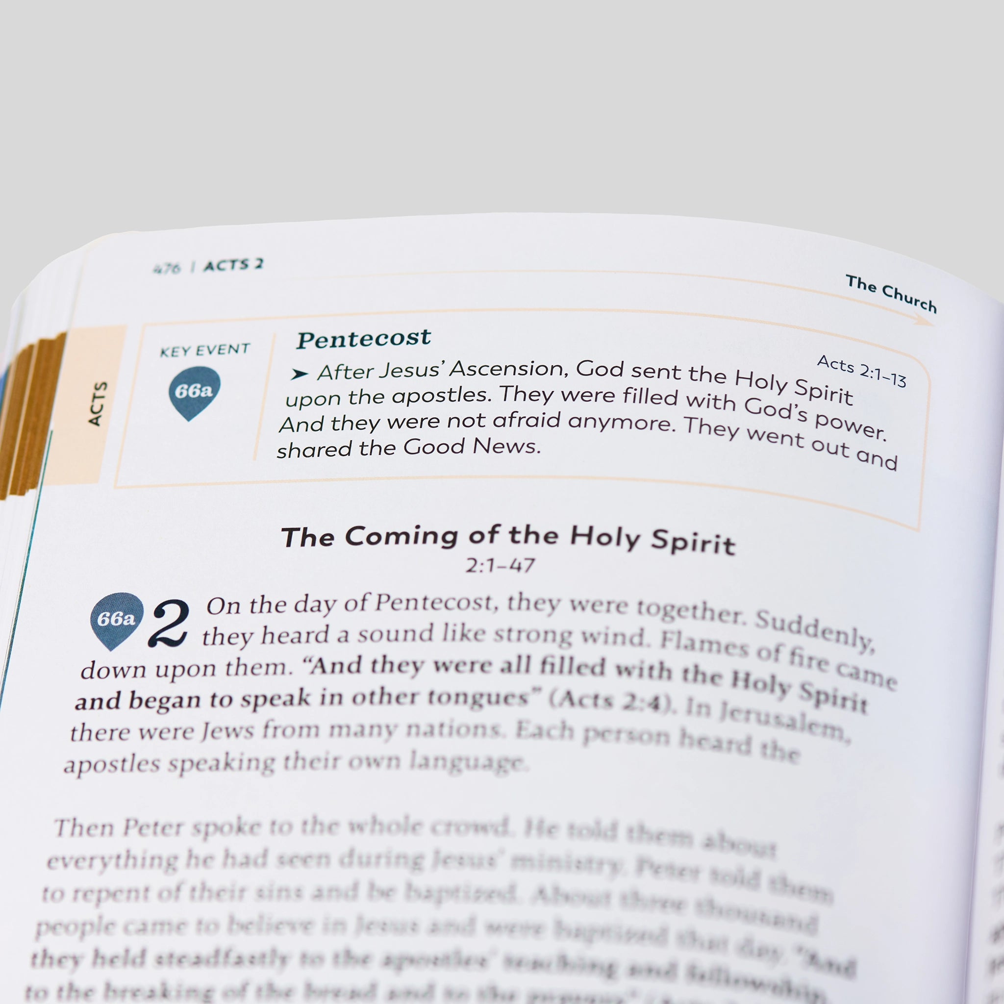 The Great Adventure Catholic Bible for Young Beginners, Classroom Edition