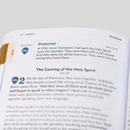 The Great Adventure Catholic Bible for Young Beginners