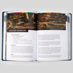 The Great Adventure Catholic Bible for Young Beginners, Classroom Edition