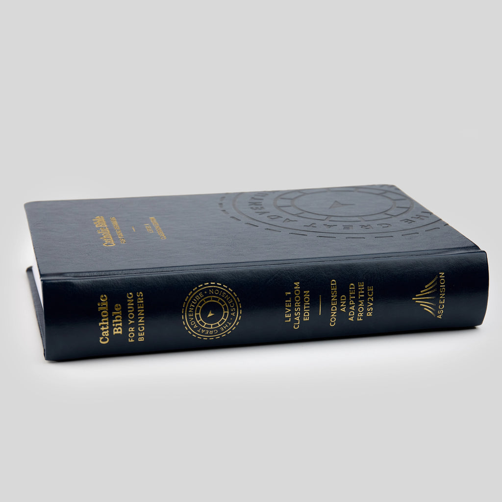 The Great Adventure Catholic Bible for Young Beginners, Classroom Edition