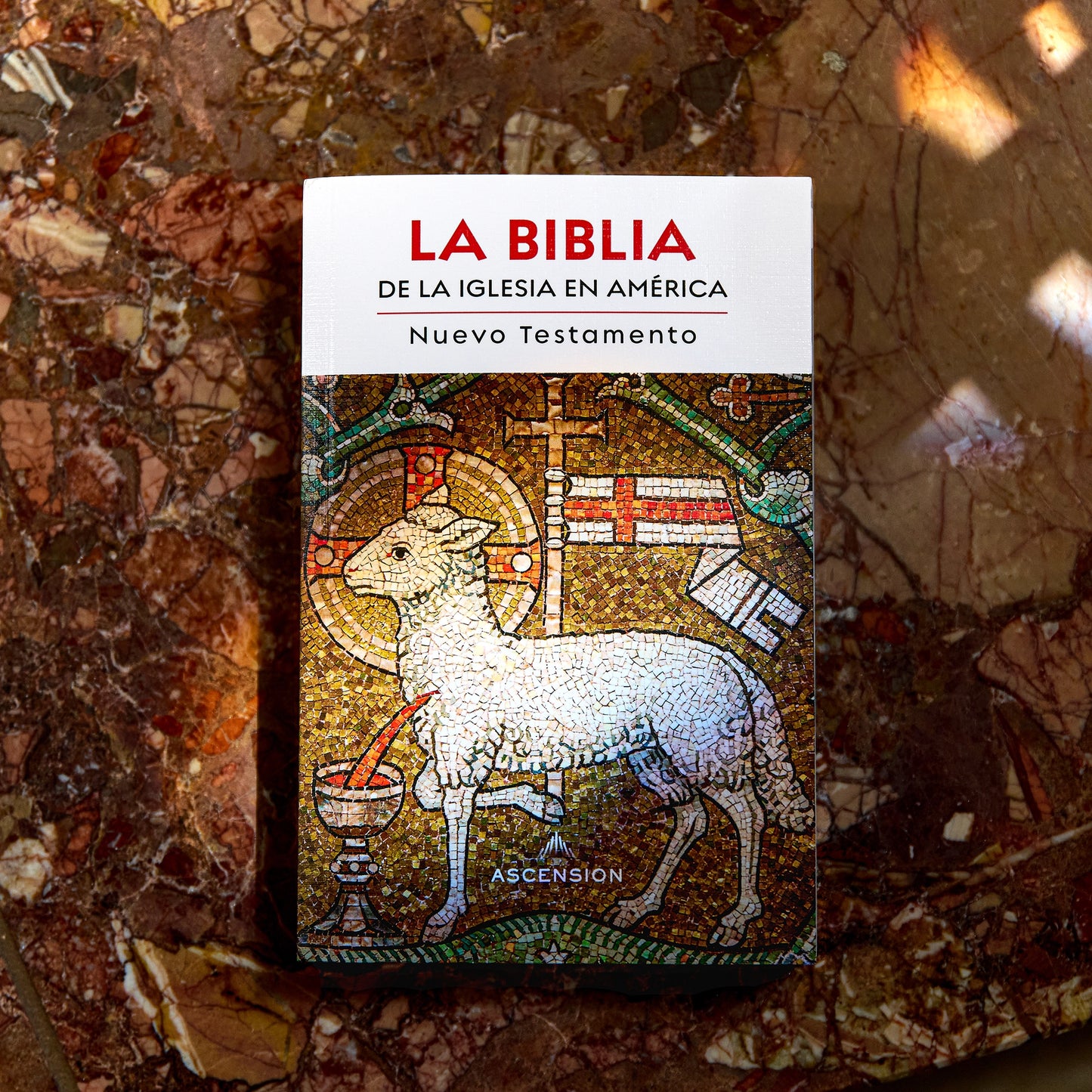 La Biblia de la Iglesia en América: Nuevo Testamento