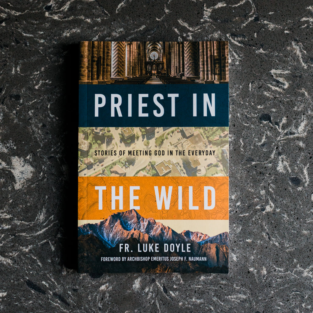 Paperback