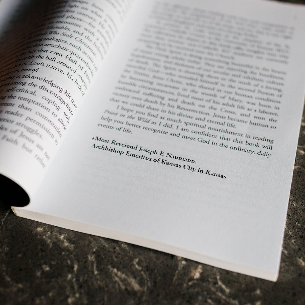 Paperback