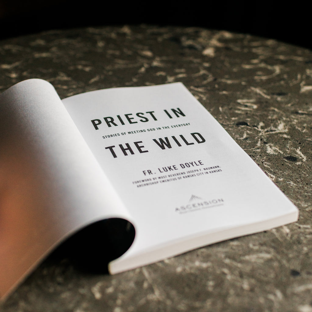 Paperback
