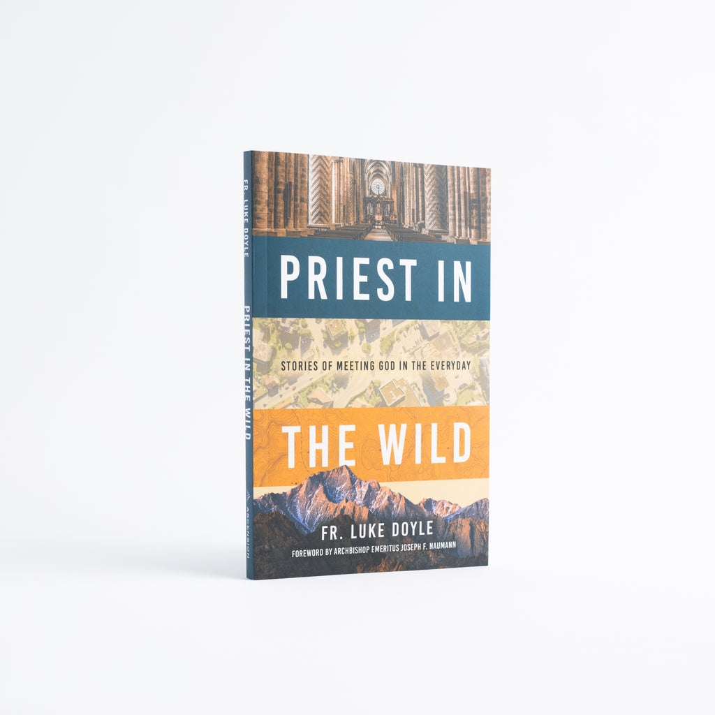 Paperback