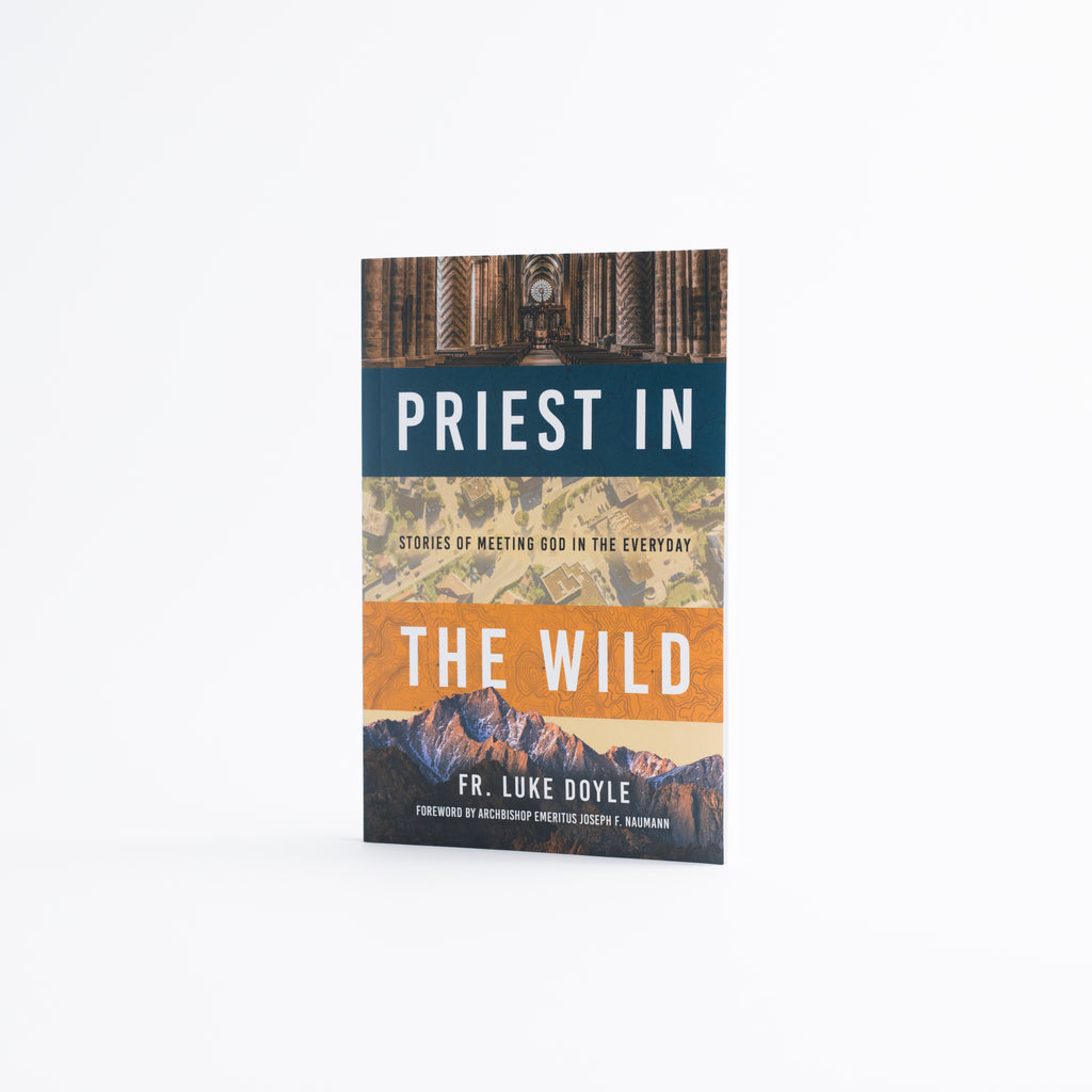 Paperback