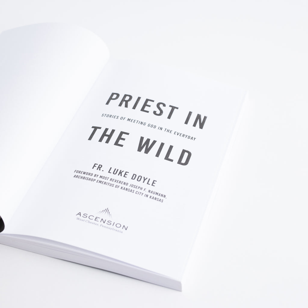 Paperback