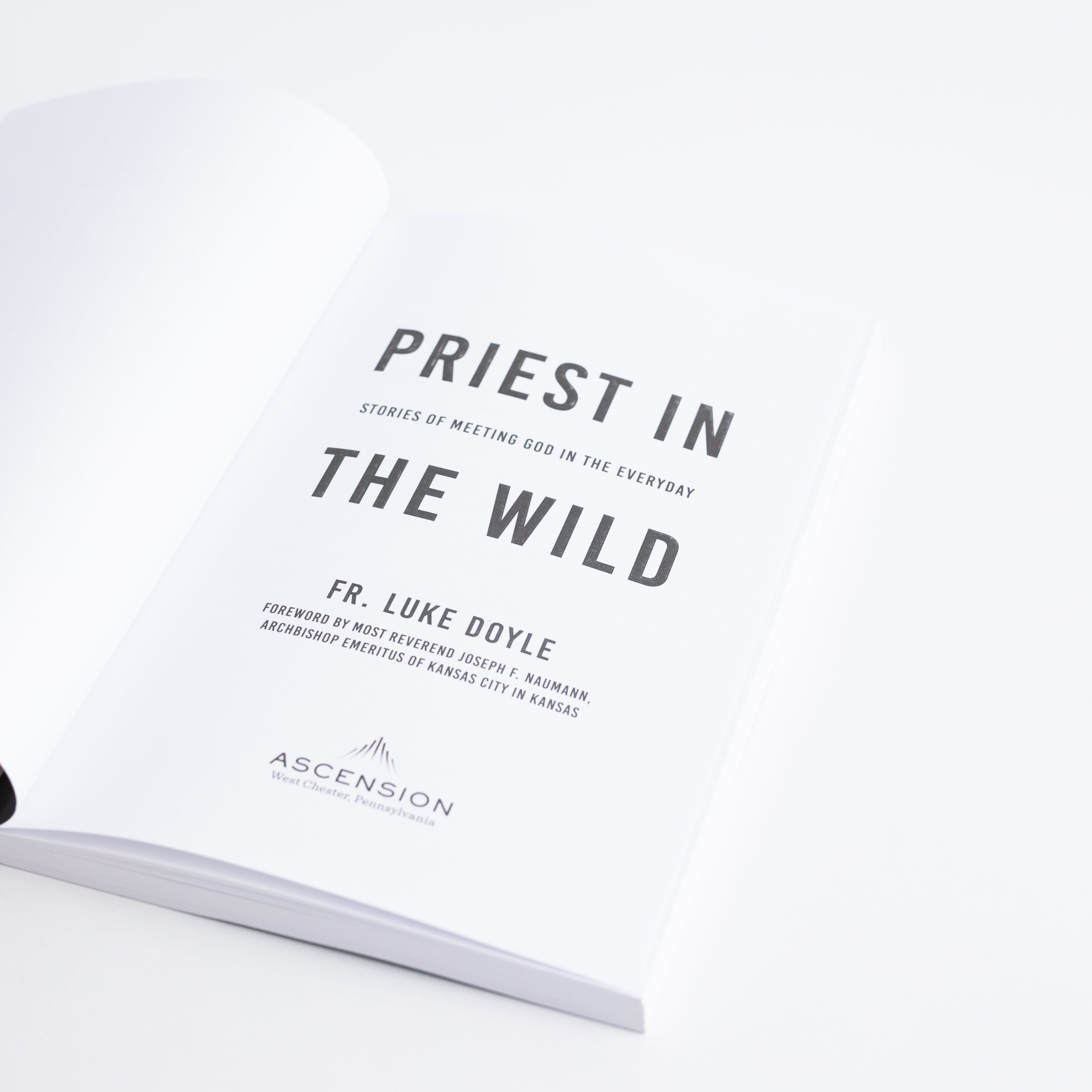 Paperback