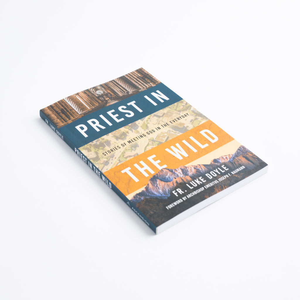 Paperback