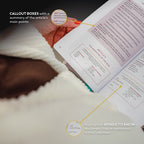 Catechism of the Catholic Church, Ascension Edition