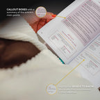 Catechism of the Catholic Church, Ascension Edition
