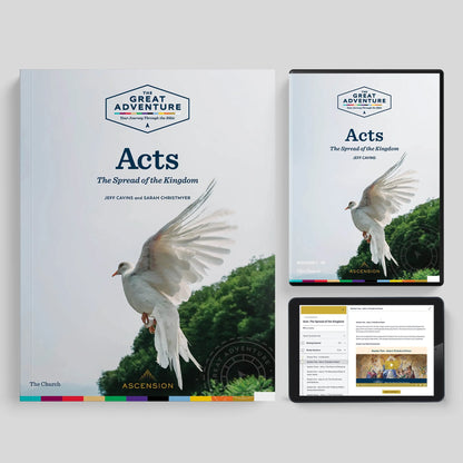 Acts: The Spread of the Kingdom, Starter Pack