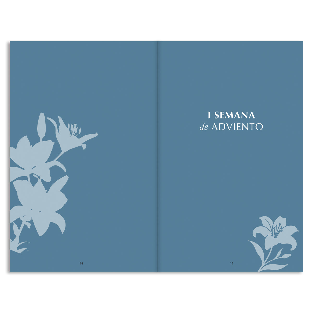 Single book