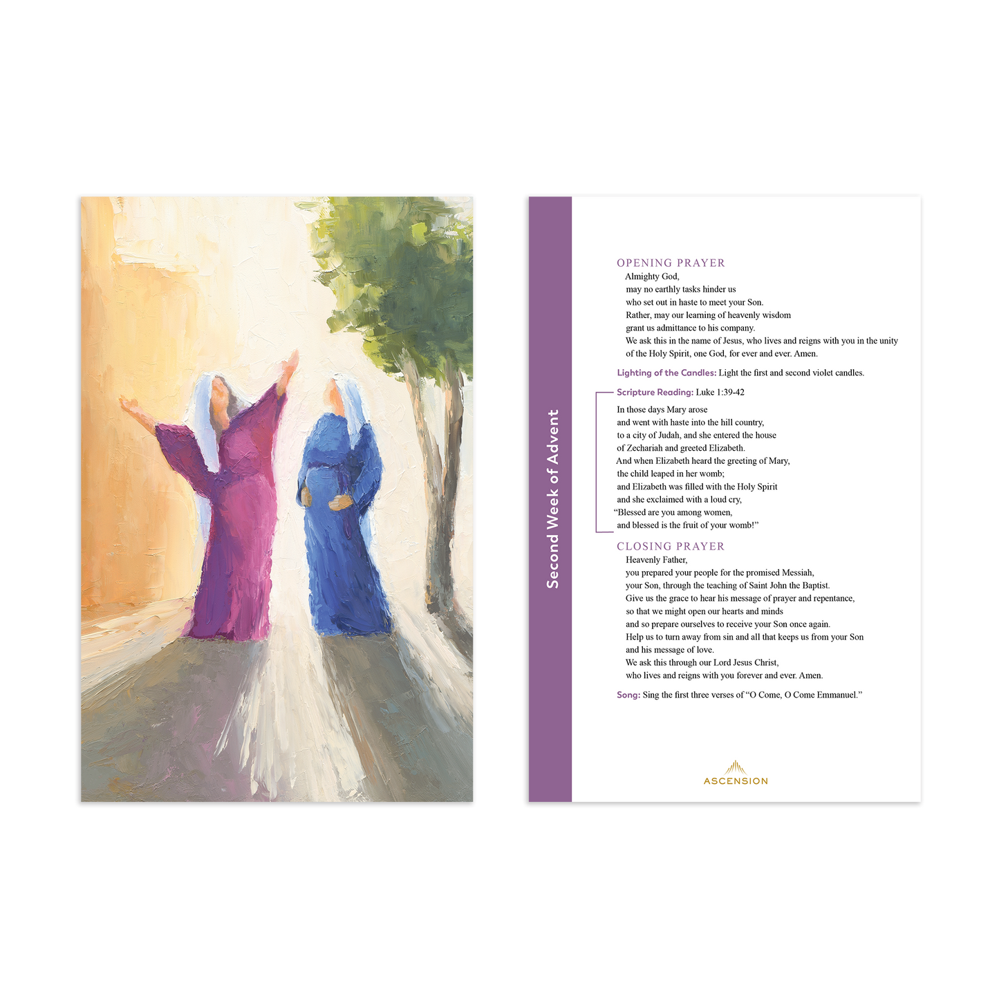 Rejoice! An Advent Pilgrimage into the Heart of Scripture: Year B, Journal and Advent Prayer Cards Bundle