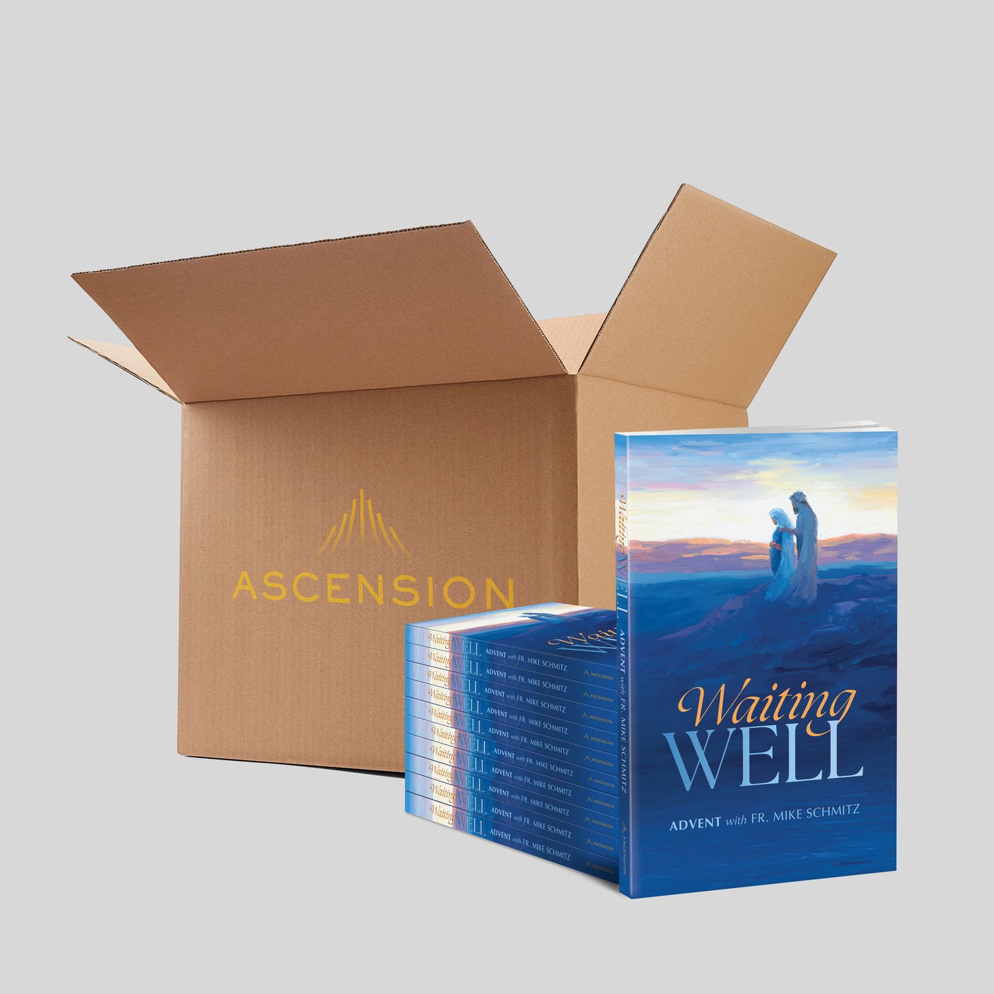 Waiting Well: Advent with Fr. Mike Schmitz, Journal