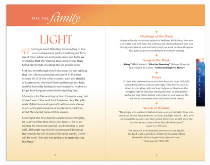 Waiting Well: Advent with Fr. Mike Schmitz, Journal