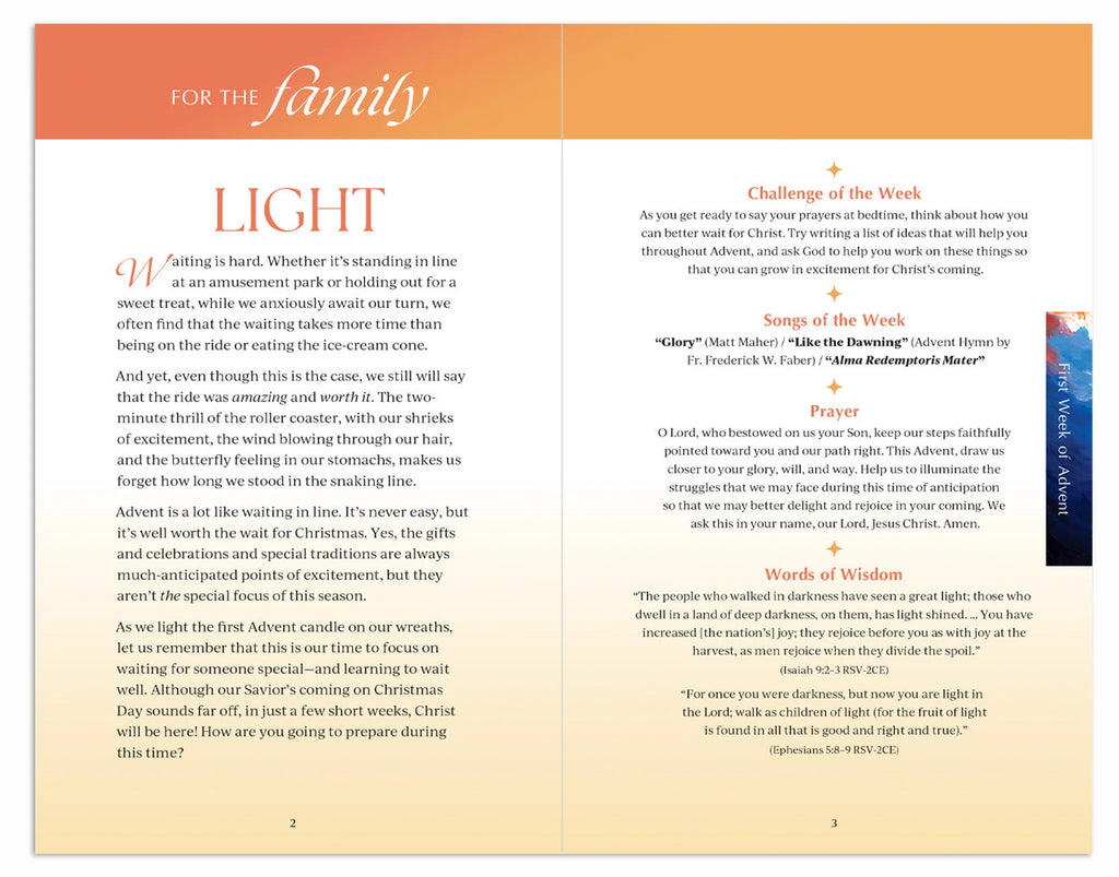 Waiting Well: Advent with Fr. Mike Schmitz, Journal