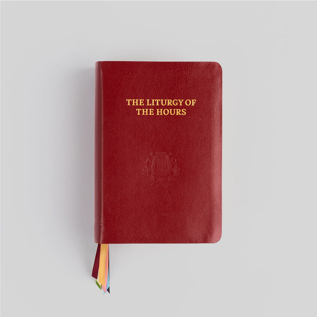 Standard Leather / Standard Print