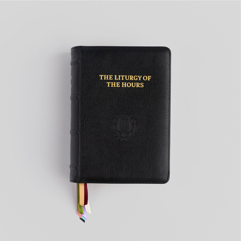 Premium Leather